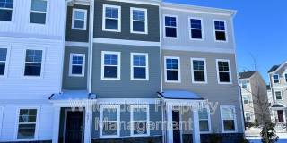 1023 Tea Time trail Gallery 1