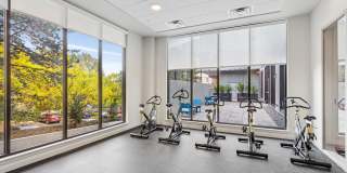 Adara at Totem Lake Gallery 12