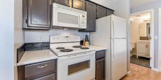 Updated 1 BDR with loft in Gunbarrel Gallery 12