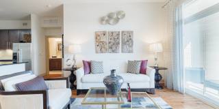 Domain at Kirby Gallery 7