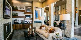 Aliso Briar Forest Gallery 6