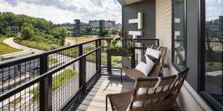 The Collins The Collins Gallery 25