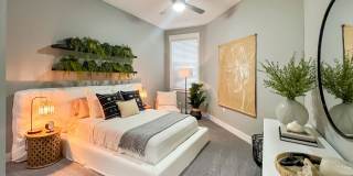 Novus Westshore Gallery 15