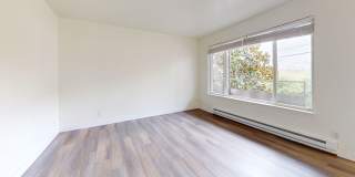 Allegro Gallery 3