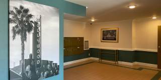 Las Palmas Apartments Gallery 15