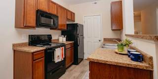 Woods at Perry Lane Gallery 17