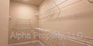 14 Ossabaw Loop Gallery 29