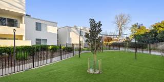 Kensington Kensington Gallery 23