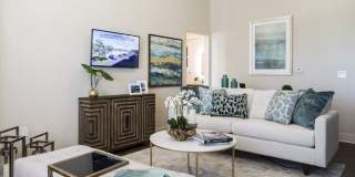 The Mayfair Gallery 18