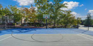 Rocklin Manor Gallery 29