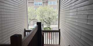 577 Windsor Drive 702 Gallery 21