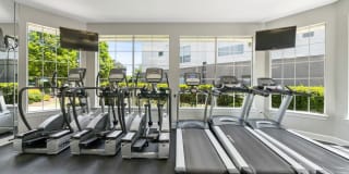 Preston View Gallery 22