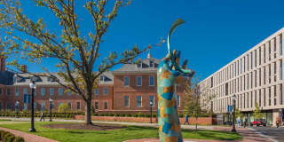 City Ridge Gallery 60