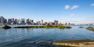 Clippership Apartments on the Wharf Gallery 12