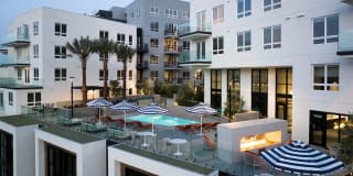 Ruby at the Society Gallery 11