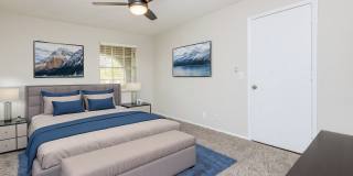 Camelia Gallery 3