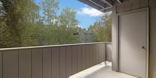 Russian Jack Gallery 6