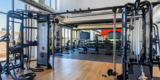 The Pioneer Gallery 19