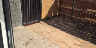 1388 E Desert Inn Road Gallery 19