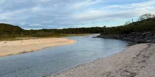 25 Miami Avenue Gallery 31