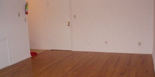 Graduate and Professional Gallery 72