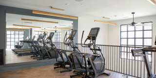 Novel Cary Gallery 34