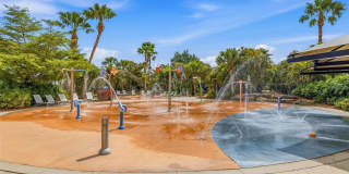 5925 SILVER SUN DRIVE Gallery 44