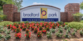 Bradford Park Gallery 28