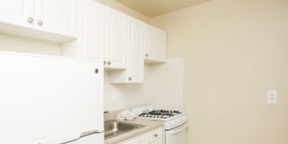 Wood Lee Arms Gallery 13