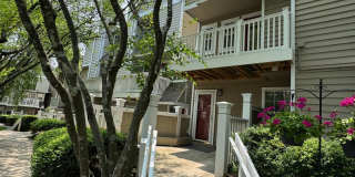 Serene Living in Rockville! Over 1,000 Square Foot Apartment for Rent- Pool, Common Ground, & Much More! Gallery 1