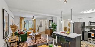 Aventura Bellevue Gallery 15