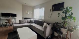 1143 Wilcox Place N Gallery 4