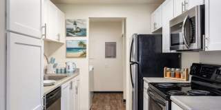 Renaissance at 29th Gallery 1