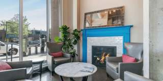 Blue and Lime Gallery 24