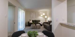 Biltmore Biltmore Gallery 29