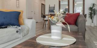 1921 Dragonfly Loop Gallery 1