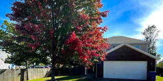 Large 3 BR 2.5 BA In Bentonville! Gallery 3
