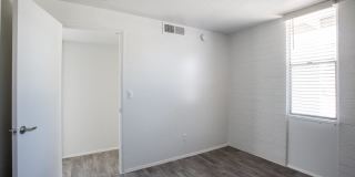 Icon on Stella Gallery 10