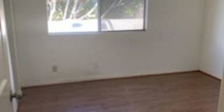 1143 Wilcox Place N Gallery 14