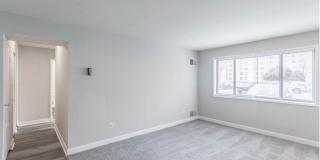 Swift at Riverdale Park Gallery 10