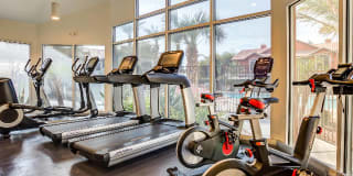 Avana Coronado Gallery 27
