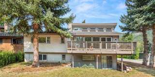 1275 Snowbunny Lane Gallery 1