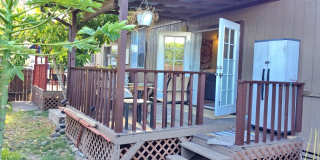 Remodeled Furnished 2 bed / 2 Bath Ohana in Waiehu - Includes Most Utilities Gallery 19