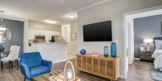 Avant at Steele Creek Gallery 5