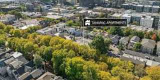 Tamarac Apartments Gallery 81