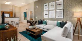 Allure Apartments Gallery 19