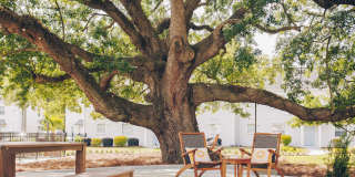The Grove at Ardsley Park Gallery 100