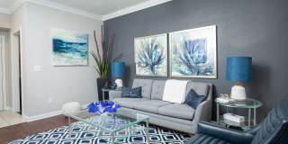 Plaza at Westchase Gallery 12