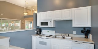 Torrey Pines Gallery 16