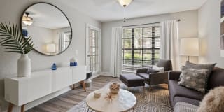 10X Port Royale 10X Port Royale Gallery 14